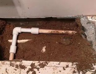 磐安测漏水哪家好