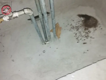 磐安卫生间测漏水价格明细