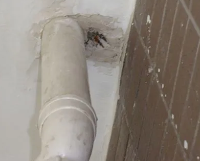 磐安漏水检测哪家好